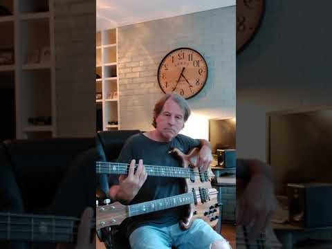 Alembic Series I Double Neck 1980 Zebrawood image 20