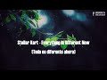 Stellar Kart - Everything Is Different Now (Subtitulado al español)