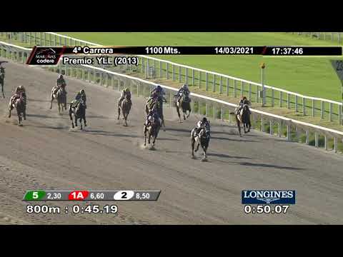 210314 c04 VICTORINOX