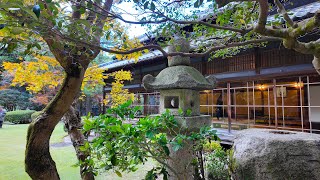 麻生大浦荘の紅葉2023