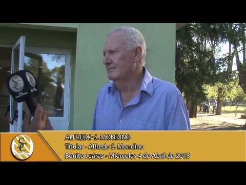 04-04-18 Nota Alfredo Mondino - Alfredo S. Mondino "Rusticos del destete" - Benito Juarez