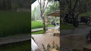 Download lagu Hujan deras enaknya tidur mp3