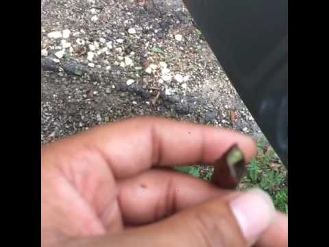 LOM Rambo Say FMB DZ Tryna Destroy 80s Name