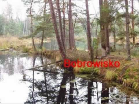 ostrowkierwinski_wersjadluga.wmv