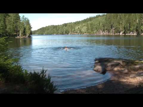 Baden in Elvåga bei Mariholtet 24.7.2010