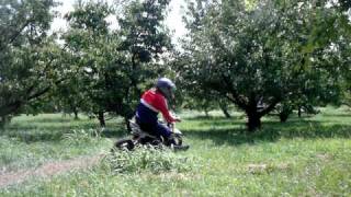 preview picture of video 'Pit bike Kayo - Il rally dei pomodori parte 1'