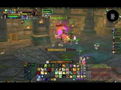 Most Wanted legt Halazzi in Zul'Aman