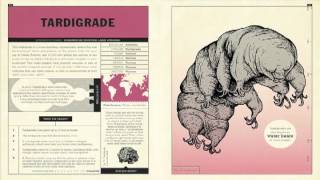 UNUSUAL CREATURES By Michael Hearst -- Book Trailer