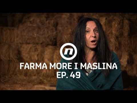 Stigli gosti - Epizoda 49 | Farma More i Maslina