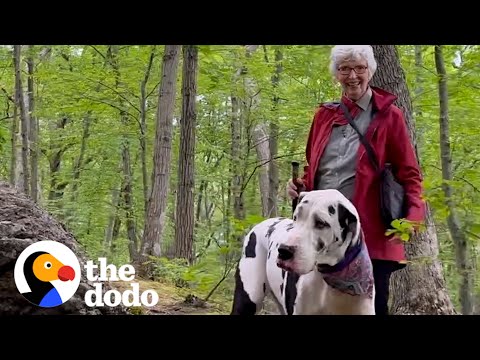 Great Dane Finds a New Grandma On Hiking Trail | The Dodo