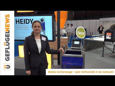 Mobile Sortierwaage - mehr Uniformität in der Aufzucht  -  VIV Europe 2022