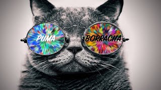 Week #114 - 07/22/20 - Puma Borracha Artist Session
