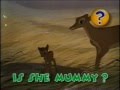 Disney Magic English Question