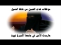 فيديو: إعلامي يكشف عن حقيقة