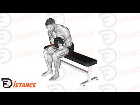 Exercice Curl de poignet assis avec disque en unilatéral