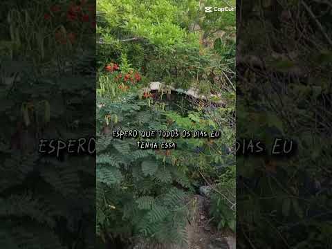 sítio maia serra de Itapajé ceará lindo de mais