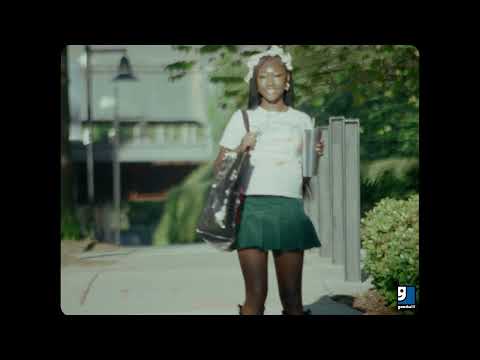 Goodwill Commercial AD 2024