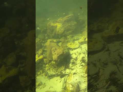 as águas cristalinas do Rio papagaio campo Novo dos Parecis mato grosso