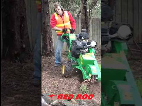 Compact Power in Action