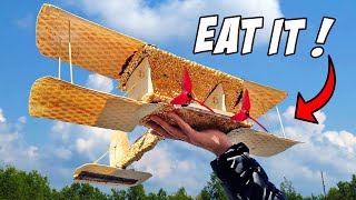 Can airplanes made of Food FLY