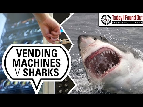 Are More People Really Killed by Vending Machines Than Sharks