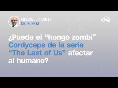 The Last of Us: ¿Un hongo podría convertir a los humanos en zombies?