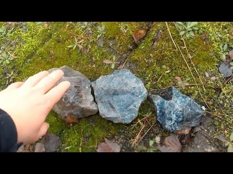 чит на хитин жука панцирника в скайриме. Смотреть фото чит на хитин жука панцирника в скайриме. Смотреть картинку чит на хитин жука панцирника в скайриме. Картинка про чит на хитин жука панцирника в скайриме. Фото чит на хитин жука панцирника в скайриме чит на хитин жука панцирника в скайриме. Смотреть фото чит на хитин жука панцирника в скайриме. Смотреть картинку чит на хитин жука панцирника в скайриме. Картинка про чит на хитин жука панцирника в скайриме. Фото чит на хитин жука панцирника в скайриме