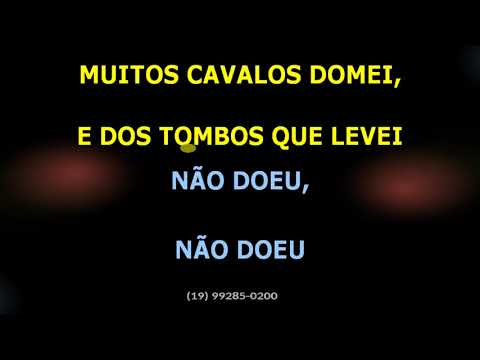 Chiquito e Bordoneio - Dois tombos - Karaokê