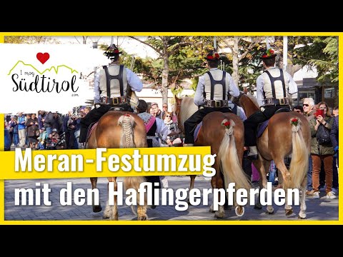 Haflinger Festumzug ❤️ am Ostermontag in Meran -  Südtirol 2023