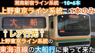 【湘南新宿ライン系統→10•6本　上野東京ライン系統→1本のみ】上野東京ライン系統の東海道線の大船行きに乗って来た！
