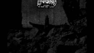 Koldbrann - Bestial Lust (Bathory Cover)