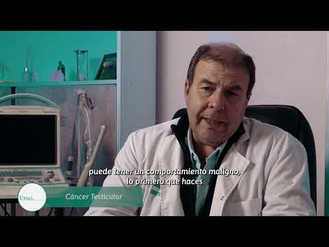 Cáncer Testicular — Dr. Alejandro Sagaz — Uroclínica Mendoza