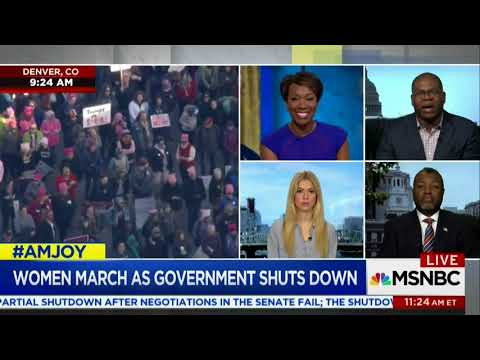 Professor on the #WomensMarch2018 on #SaturdayMorning During the #SchumerShutdown #AMJoy