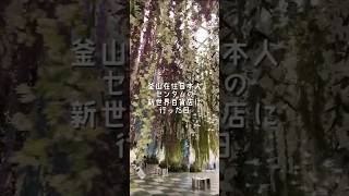 BTSイベントで盛り上がる釜山・新世界百貨店へ #釜山暮らし #韓国生活 #Busan #BTS #ARMY #韓国Vlog #釜山Vlog #Shorts #韓国旅行 #vlog