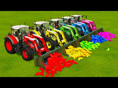 TRANSPORTING BANANAS, POLICE CARS WITH FENDT TRACTORS AND ISUZU TRUCKS - Farming Simulator 22
