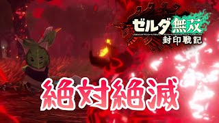 禁忌のゴーレムと最後の闘い！カラモ＆騎士ゴーレムの友情パワーで乗り越えろ！！『ゼルダ無双封印戦記』The Legends Of ZELDA ゼルダの伝説　Switch2