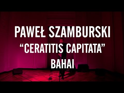 PAWEŁ SZAMBURSKI / CERATITIS CAPITATA / Bahai