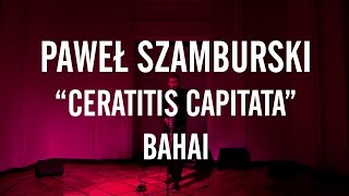 PAWEŁ SZAMBURSKI / CERATITIS CAPITATA / Bahai