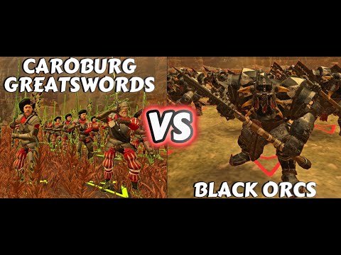 Who Will Win? Caroburg Greatswords or Black Orcs in Warhammer Total War 3!