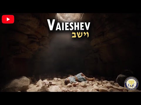 📜 Curiosidades de la parashah - Vaieshev #9