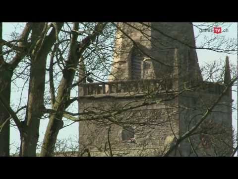 Gallus - wo alles begann