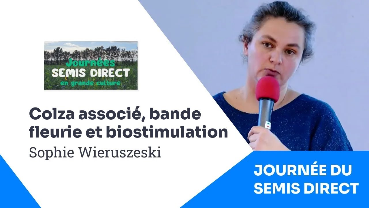 Essais pluri-annuels des groupes semis direct Sol Avenir 60, Sophie Wieruszeski