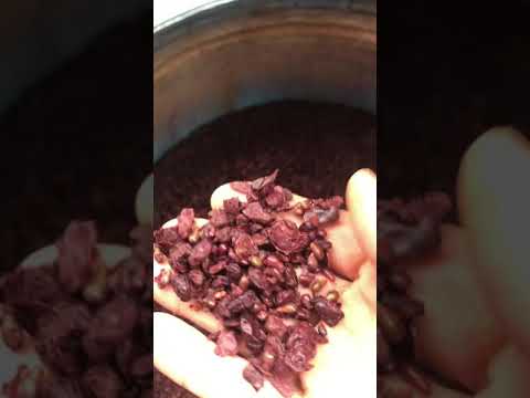 download lagu mp3 mp4 Grappa Marc, download lagu Grappa Marc gratis, unduh video klip Grappa Marc