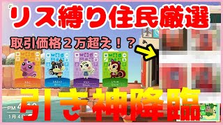 【住民厳選】リス縛りの離島ガチャ！ついに過去最高の高額キャラを引き当てる！【あつまれ どうぶつの森】【あつ森】