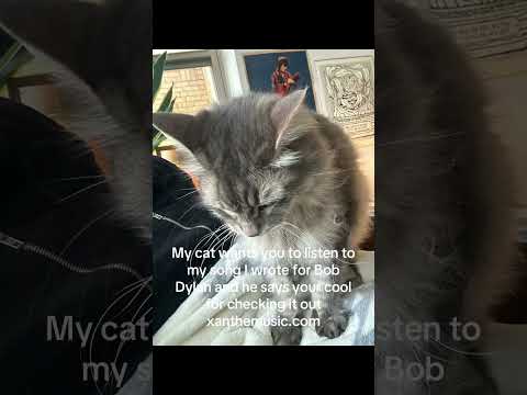 #ASongForBobby #OriginalMusic #SingerSongwriter #IndieMusic #NowPlaying #MusicLovers #NewSong #music