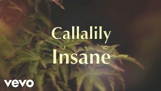 Callalily - Insane [Lyric Video]