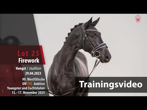 Online Auktion Youngster/Zuchtstuten Training Lot 25 Firework Hengst v. Feliciano - Dressage Royal
