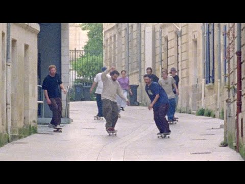 FLEUR BLEUE - Magenta x Blue Flowers