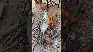 Download lagu Memanggang Ikan di Atas Api Unggun | Beraroma Asap & Lezat! 🐟🔥 mp3 Download lagu Memanggang Ikan di Atas Api Unggun | Beraroma Asap & Lezat! 🐟🔥 mp3