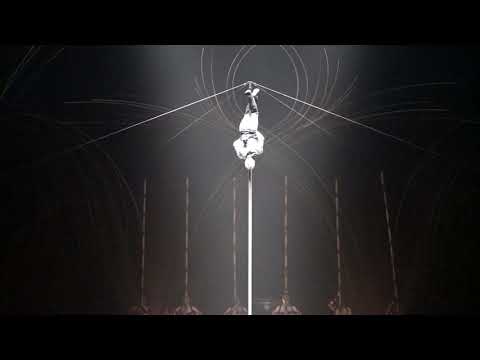 Chinese pole. Amaluna.